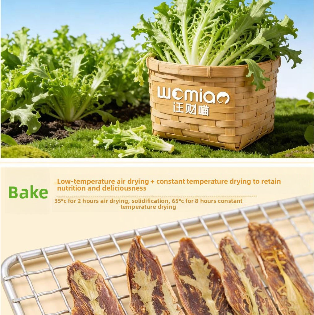 Basket of chicory with text about cultivation and baking process on a green field background